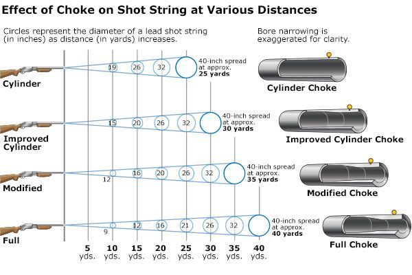 pattern of shot dispersion for each choke and shot spread 